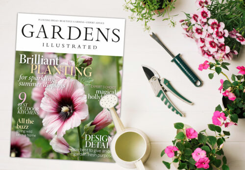 Brittiläinen puutarhalehti Gardens Illustrated on tunnettu korkealaatuisesta sisällöstään ja upeista valokuvistaan.