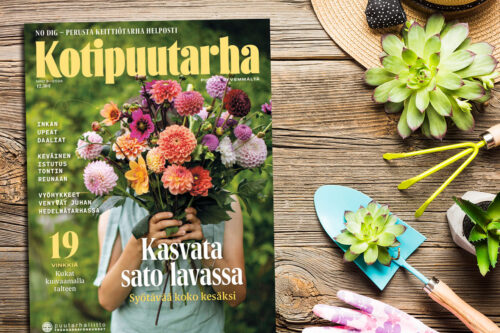 Kotipuutarha-lehti on jokaisen puutarhaharrastajan inspiroiva kumppani. Löydä parhaat tarjoukset ja tilaa lehti nyt.