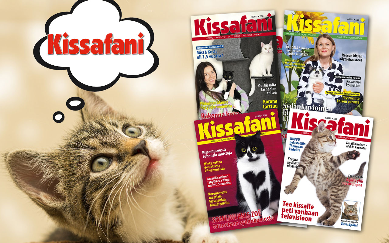 Tilaa Kissafani-lehti netin parhaaseen tarjoushintaan.