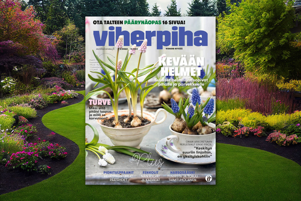 Viherpiha-lehti tarjoaa inspiraatiota ja ideoita omaan puutarhaan.